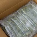 선이농장 이미지