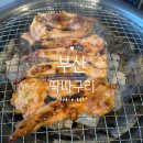 딱따구리 | 부산 명지 맛집 닭목살구이 전문 딱따구리 솔직후기