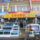 뉴부산횟집 Daum카페
