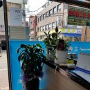 금해여행사