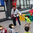 용인대 금메달 태권도장 이미지