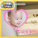 5월26일 슈퍼맨이 돌아왔다 돌 팔찌 사온 모니카, 립제이 이모! 스트릿 집들이 파이터 영상 이미지