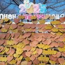 경산시 남매근린공원 이미지