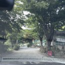 매봉힐링캠프 이미지