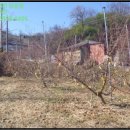 옥천군청성면묘금보건진료소 이미지