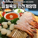 계양문화로 29번길 | [인천 맛집] 계양구 이자카야 감성 심야 술집 ‘일월육일 인천계양점’ 방문후기