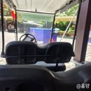 기린중학교 | 다낭 남호이안 빈원더스 리버사파리 VIP 투어 후기 꿀팁