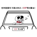 VIP애견 이미지