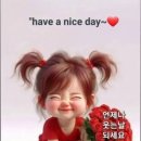 새삥 이미지