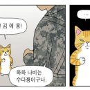쿠루쿠루
