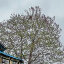 안성정미소 이미지