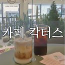 다육이카페 | 연산동 대형카페 칵터스, 선인장 가득한 식물카페 솔직 후기