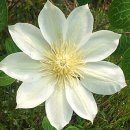 소희꽃농원 이미지