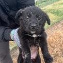 쉬미항로 이미지