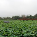 봉담호수공원 이미지