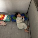 라온우리 이미지