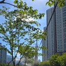 온천천관리사무소 이미지