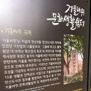 거울바위쉼터