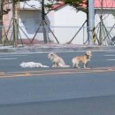 친한친구들 이미지