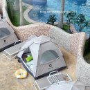 서울 아쿠아룸(문화점) | 롯데리조트 부여 아쿠아가든 솔직후기