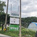 레트로 이색카페 시골 감성의 농부카페 내마음의 숲 다녀온 후기