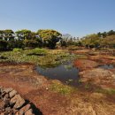 혼인지마을 이미지