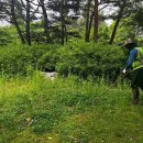 방아공원 이미지