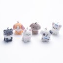 뽀송강아지 이미지