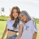 다솜에너지
