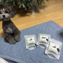 소랑동물병원 | [도그말리온] 강아지 수제간식 오리목뼈, 소간육포 후기