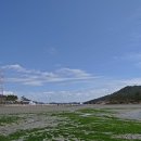퍼플 - 강남구 도산대로38길 16 | 퍼플