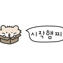 메종드혁이네in표선 네이버블로그