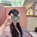 아이센스 블랙라벨 PC존 하남덕풍점 | 하남덕풍동[아이센스블랙라벨PC존]하남피시방추천 피시방데이트 실내데이트추천 커플석있는피시방 하남...