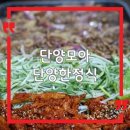또모아식당 | 단양 여행 중 한 끼｜소노벨 근처 단양모아 한정식 떡갈비 만족 후기