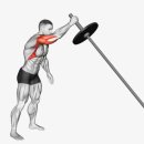 바디랜드 이미지