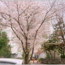 신현펌프장 이미지