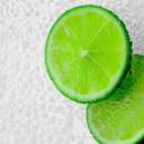 라임 이미지