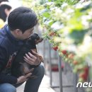 펫츠고트래블 이미지