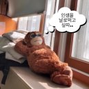 3월 ③ 다이어트 식단, 술먹고 생일파티, 평택가서 폐계닭, 건강걷기대회 준비, 데이식스 콘서트 티켓팅...