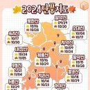 2024년 가을단풍지도 이미지