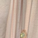 신선정형외과의원 이미지