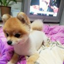 누구개 이미지