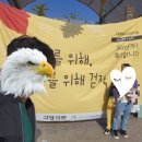 걷기체조 | 고양바람누리길 걷기축제 5km 참여후기(일산호수공원 단풍명소)