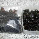 눅눅해져 못먹게 된 김의 색다른 변신-김자반,김가루^^ 이미지