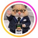 주식회사 원패스통신 | [공지] 부산 광안리 휴대폰성지 갤럭시S26 가격 인상 전 재고 마지막 — 수영구 폰스폰 5월 시세 정리