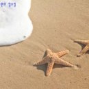 (주)서원 이미지