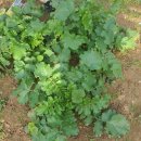 무수농장 이미지