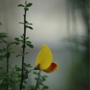 자연사랑펜션 이미지