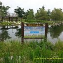 율하체육공원 생태연못 이미지