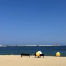 강원도 아바이순대